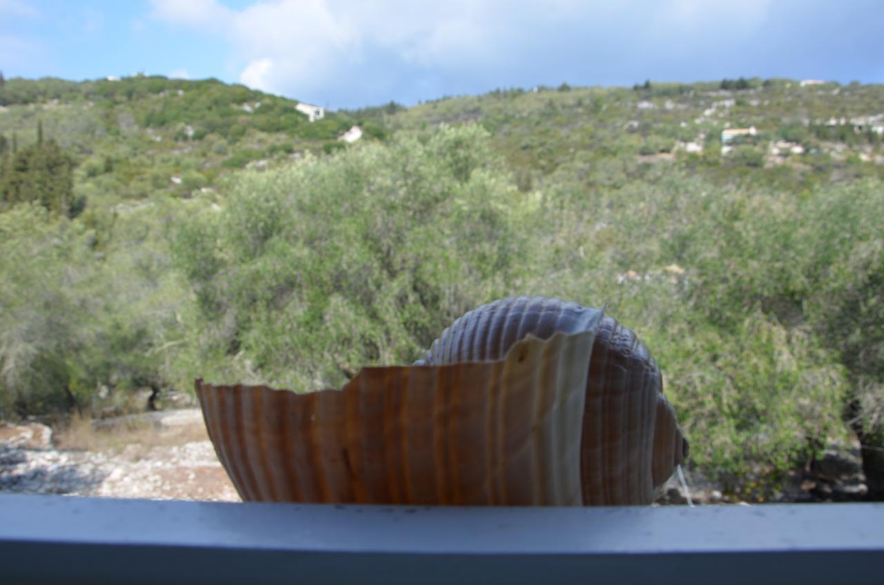 Villa Clementine Γάιος Εξωτερικό φωτογραφία